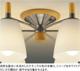 KOIZUMI AAN685074 ̿1