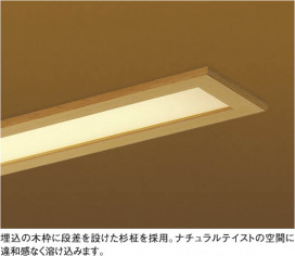 KOIZUMI ADN550695 ̿1