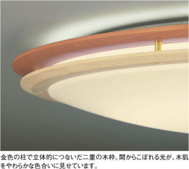 KOIZUMI AHN635313 ̿2
