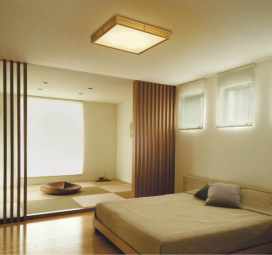 KOIZUMI AHN635355 ̿2