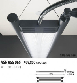 KOIZUMI ASN955065 ̿2