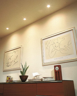 DAIKO DDL-2565YWF ̿1