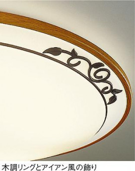 DAIKO DCL-35529L ̿2