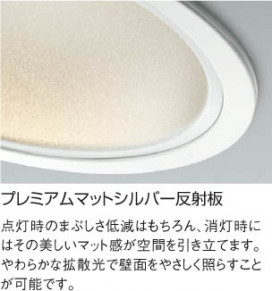 KOIZUMI LEDⵤ̩饤 AD35260L