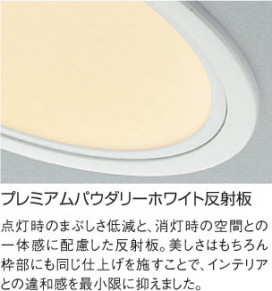 KOIZUMI LEDⵤ̩饤 AD35262L
