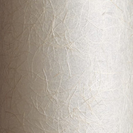 Panasonic LED ڥȥ饤 LGB19306 ̿2