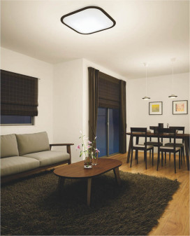 ߾ KOIZUMI  LED AH42966L ܹ̿