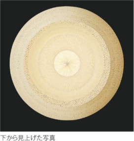 ߾ KOIZUMI ڥ LED AP37499L ħ̿