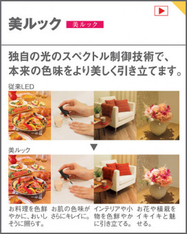 Panasonic LED ֥饱å LGB81755LB1 ̿5