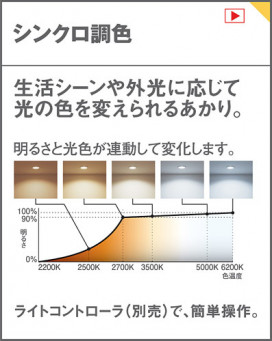 Panasonic LED ڥȥ饤 LGB10508LU1 ̿6