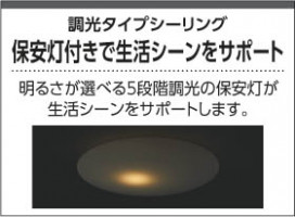 ߾ KOIZUMI  LEDŵ忧 AH45428L ̿5