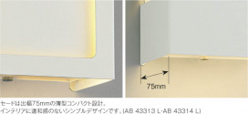 ߾ KOIZUMI ֥饱å LEDŵ忧 AB43313L ̿1