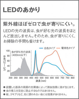 Panasonic LED ƥꥢȥɥ XLGEC510HZ ̿3