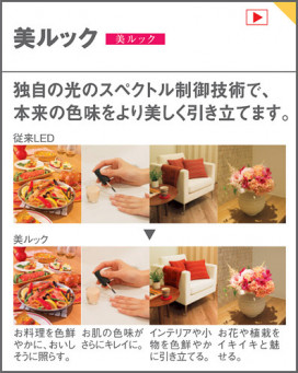 Panasonic LED ݥ󥰥ե󡦥ƥꥢե XS90175 ̿4
