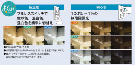 DAIKO ŵ LED Ĵݥåȥ饤 DSL-4990FW