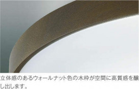 ߾ KOIZUMI LED  AH46988L ̿2
