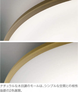 ߾ KOIZUMI LED  AH47510L ̿1