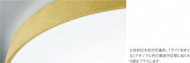 ߾ KOIZUMI LED  AH42838L ̿2