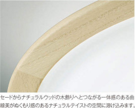 ߾ KOIZUMI LED  AH43001L ̿2