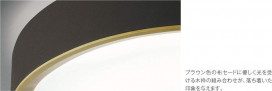 ߾ KOIZUMI LED  AH43014L ̿2