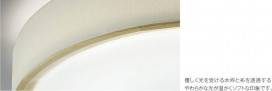 ߾ KOIZUMI LED  AH43018L ̿2