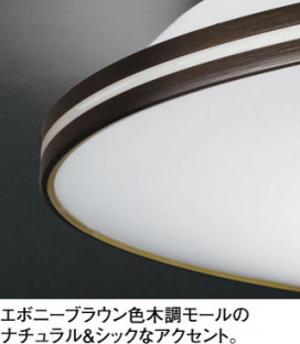 ODELIC ǥå LED 󥰥饤 OL251512BC ̿2
