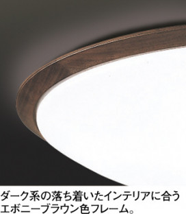 ODELIC ǥå LED 󥰥饤 OL251620BC ̿1