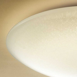 ODELIC ǥå LED 󥰥饤 OL251820 ̿2