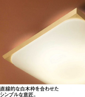ODELIC ǥå LED 󥰥饤 OL291018N ̿2