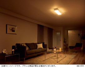Panasonic 󥰥饤 LGBZ2186 ̿4