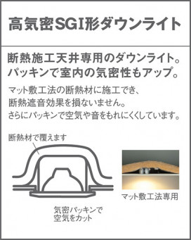 Panasonic 饤 LB79905 ̿2