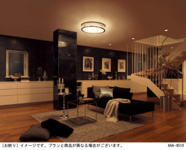 Panasonic 󥰥饤 LGBZ2436 ̿2