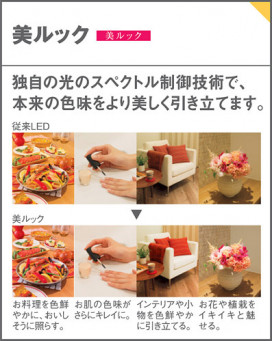 Panasonic ڥȥ饤 LSEB3221LE1 ̿4