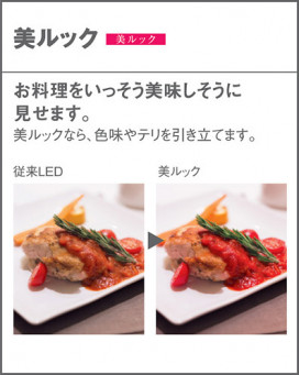 Panasonic ڥȥ饤 LSEB3221LE1 ̿5