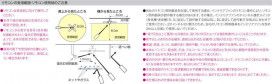 ߾ KOIZUMI ƥꥢե AA43195L ̿3