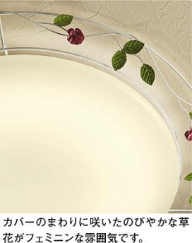 ͼ̿ | DAIKO ŵ Ĵ DCL-40915