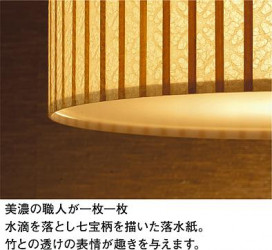ͼ̿ | DAIKO ŵ Ĵ DCL-39782
