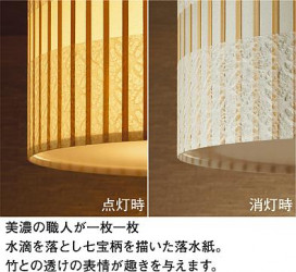 ͼ̿ | DAIKO ŵ Ĵ DCL-39782