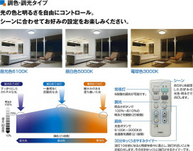  | DAIKO ŵ Ĵ DCL-39875