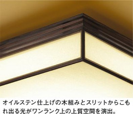 ͼ̿ | DAIKO ŵ Ĵ DCL-39981