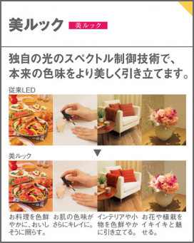 Panasonic LED ڥȥ饤 LGB16743LE1 ̿4