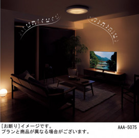 Panasonic 󥰥饤 LGCX31171 ̿3