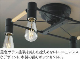 KOIZUMI ߾ ǥꥢ AA49037L ħ̿