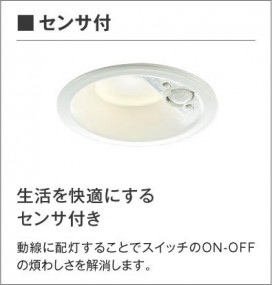 KOIZUMI ߾ ⵤ̩饤 AD41925L 