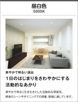 KOIZUMI ߾ ɱɼ AU40422L 