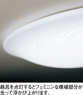 ODELIC ǥå 󥰥饤 OL251510BCR ̿2
