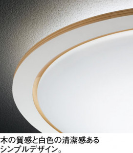 ODELIC ǥå 󥰥饤 OL251610BCR ̿2