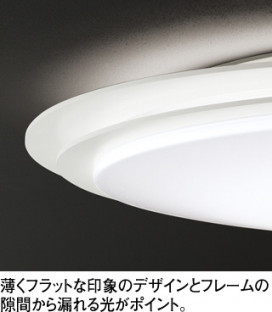ODELIC ǥå 󥰥饤 OL251099 ̿1