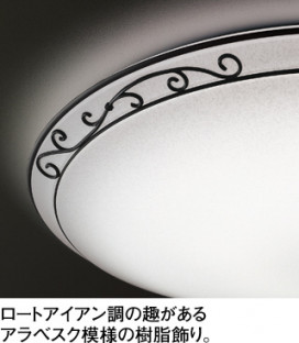 ODELIC ǥå 󥰥饤 OL251454 ̿1