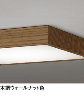 ODELIC ǥå 󥰥饤 OL251745 ̿1